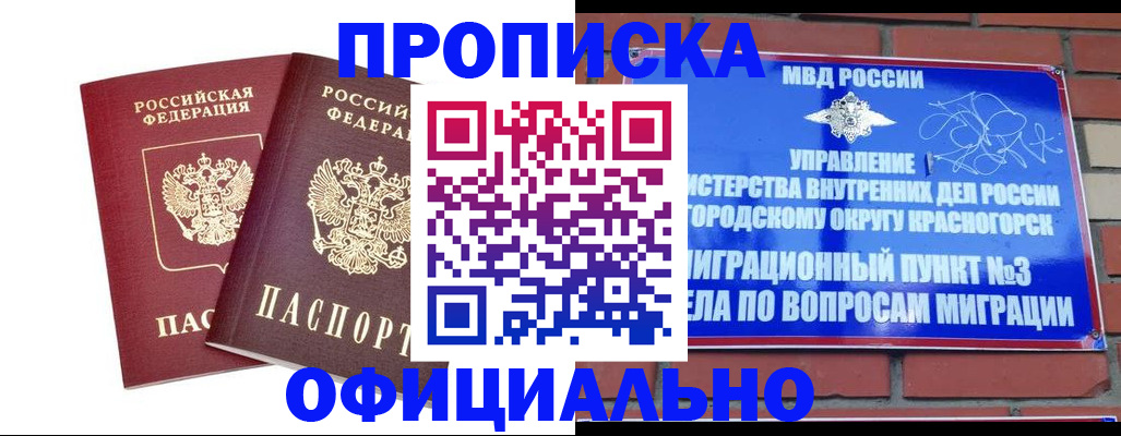 временная регистрация адрес в Мончегорске